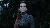 «Пока цветет папоротник (2012)» — обои к сериалу #5
