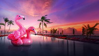 «Bachelor in Paradise (2014)» — обои к сериалу #2