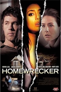 Homewrecker (2011)