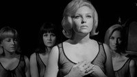 «Красные розы страсти (1966)» — обои к фильму #4