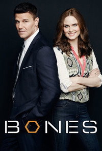 Постер сериала «Кости (2005 - 2017)» — (23 из 181)