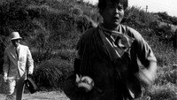 «Западня (1962)» — обои к фильму #6