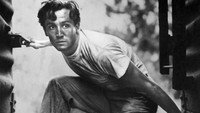 «Крик загнанного (1953)» — обои к фильму #1