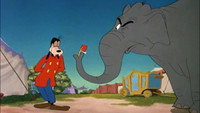 «Банный день (1948)» — обои к мультфильму #1