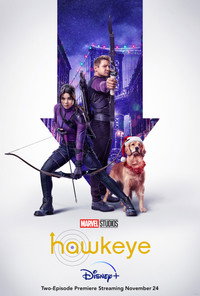 Постер сериала «Соколиный глаз (2021)» — (61 из 208)