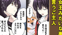 The Misunderstood Ones (Master`s Story) / The Misunderstood Ones (Shiba Inu Story)