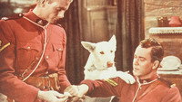 «Northern Patrol (1953)» — обои к фильму #1