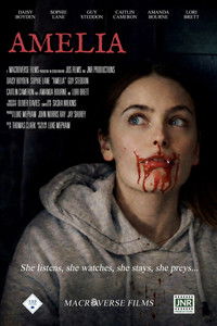 Poster de Amelia