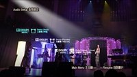 柳影虹 - 为你钟情演唱会2014