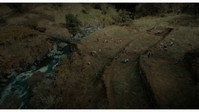 «Cartas de Fora (2019)» — обои к фильму #1