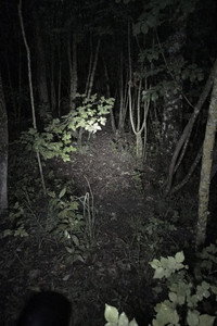 Untitled Found Footage Project
