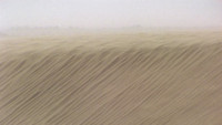 Evil spirits of the desert