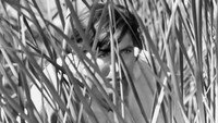Обои к фильму «Страх (1966)» — (18 из 41)