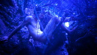 «Brookton Hollow (2010)» — обои к фильму #1