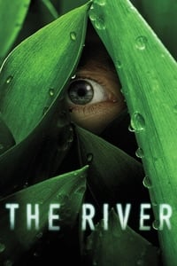 Poster de The River