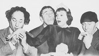 «Вредитель-победитель (1951)» — обои к фильму #1