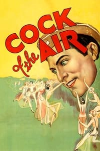 Poster de Cock of the Air