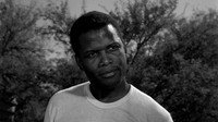 «Полевые лилии (1963)» — обои к фильму #10