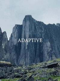 Poster de Adaptive