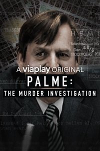 Poster de Palme: The Murder Investigation