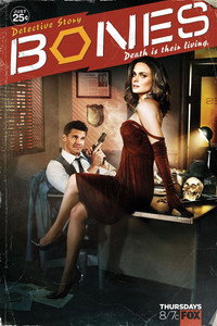 Постер сериала «Кости (2005 - 2017)» — (61 из 181)