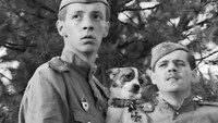 «Старик (1974)» — обои к фильму #9