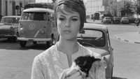 «Красавица из Лоди (1963)» — обои к фильму #1
