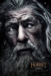 Постер фильма «Хоббит: Битва пяти воинств (2014)» — (39 из 134)