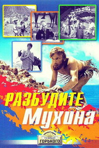 Постер фильма «Разбудите Мухина! (1968)» — (2 из 3)