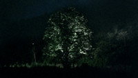 «Тропическая болезнь (2004)» — обои к фильму #1