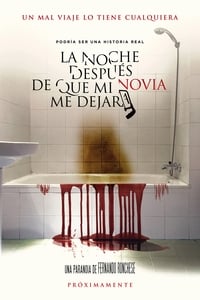 La noche después de que mi novia me dejara (2017)