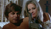 «Лисица с бархатным хвостом (1971)» — обои к фильму #1