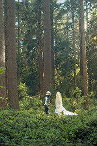 Imagem do Filme Une bosse dans le coeur