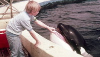 «A Whale of a Tale (1976)» — обои к фильму #1