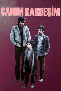 Постер фильма «Дорогой брат (1973)» — (5 из 9)