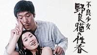 «Furyô shôjo: noraneko no seishun (1973)» — обои к фильму #1