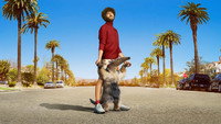 «Дэйв (2020)» — обои к сериалу #1