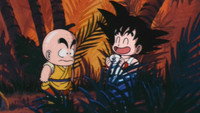 Find That Stone!