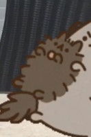 Imagem de New Cat Friend