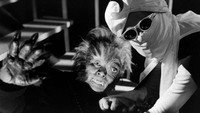 «Gekko kamen - kaiju Kongu (1959)» — обои к фильму #1