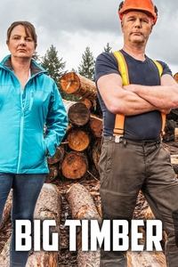 tv show poster Big+Timber 2020