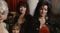 «Ночные красавицы (1975)» — обои к фильму #4