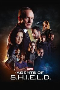 copertina serie tv Agents+of+S.H.I.E.L.D. 2013
