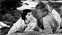 «Девушка, которую он бросил (1956)» — обои к фильму #1