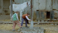 «Где дом друга? (1987)» — обои к фильму #4