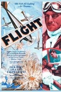 Poster de Flight