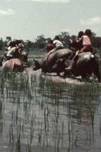 La fête des eaux à Vientiane (1967) poster