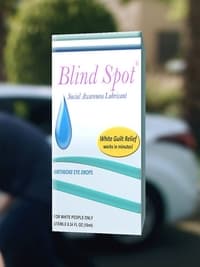 Blind Spot (2017)
