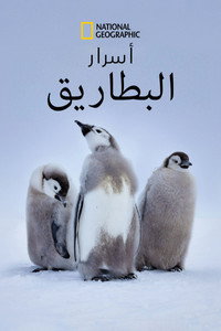 movie-images