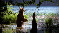 «Plitvice - Land der fallenden Seen (2004)» — обои к фильму #1